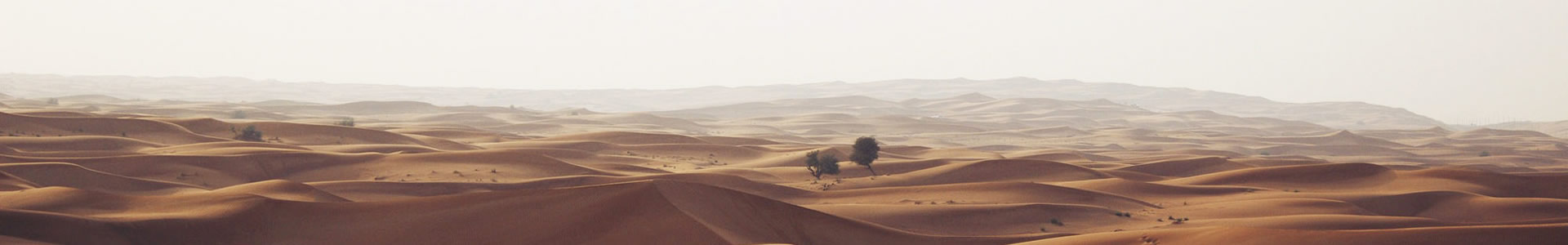 ɽճҵƼ޹˾